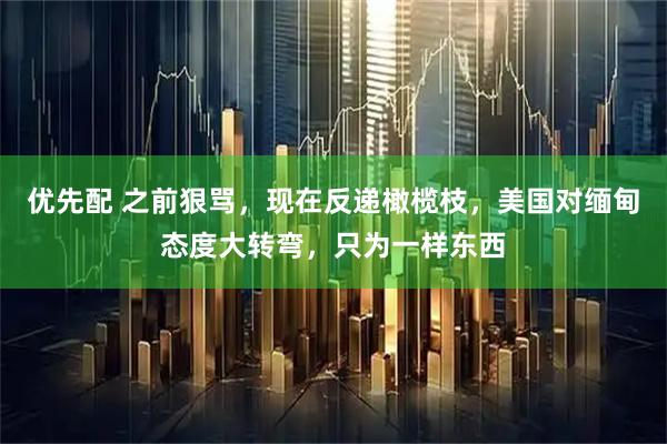 优先配 之前狠骂，现在反递橄榄枝，美国对缅甸态度大转弯，只为一样东西