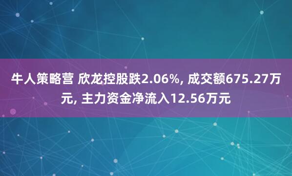牛人策略营 欣龙控股跌2.06%, 成交额675.27万元, 主力资金净流入12.56万元