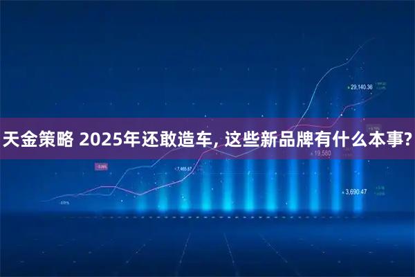 天金策略 2025年还敢造车, 这些新品牌有什么本事?